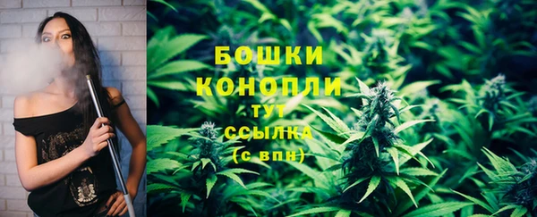 амф Билибино