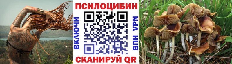 Псилоцибиновые грибы Magic Shrooms  Сорочинск 