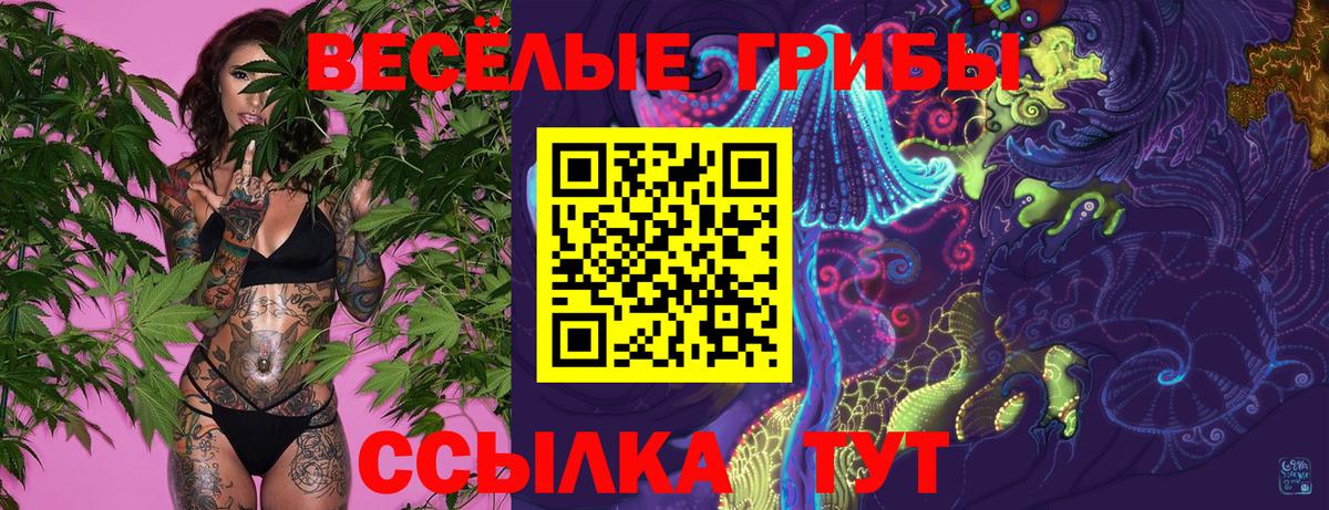 Сорочинск  Псилоцибиновые грибы мухоморы  Вход с VPN 